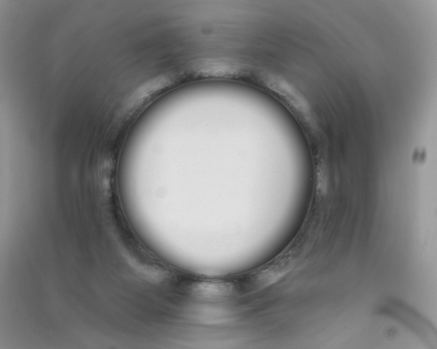 X0000090710115200708171914