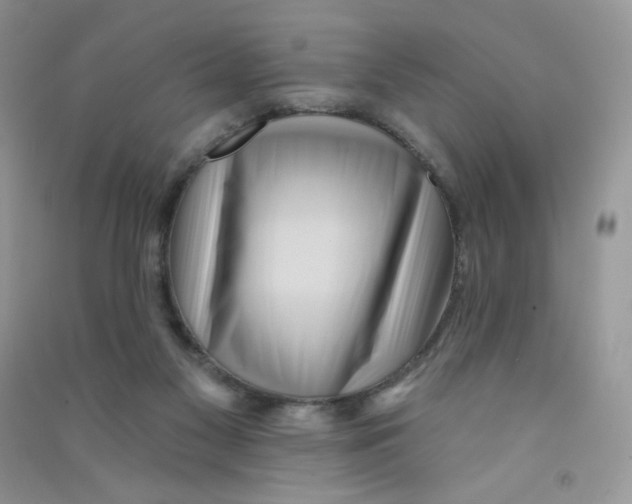 X0000090710117200708171914