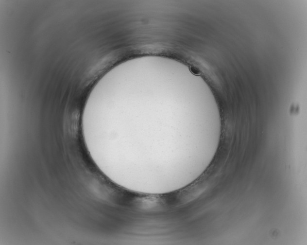 X0000090710118200708171914