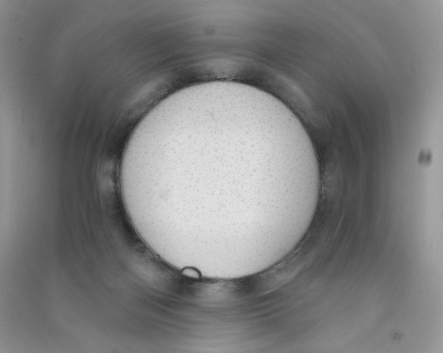 X0000090710122200708171914