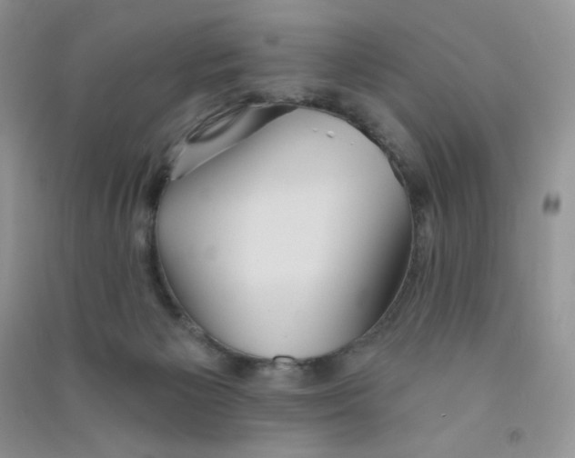 X0000090710125200708171914