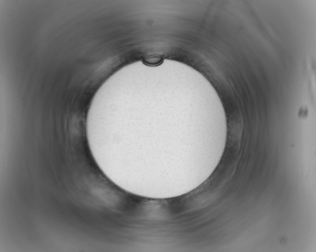 X0000090710126200708171914