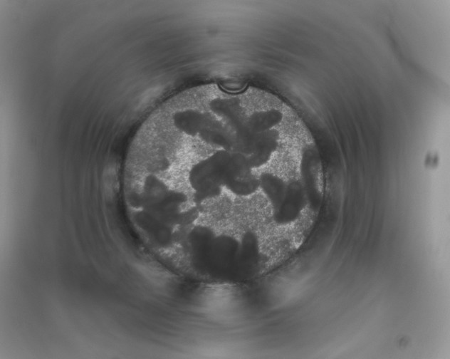 X0000090710127200708171914