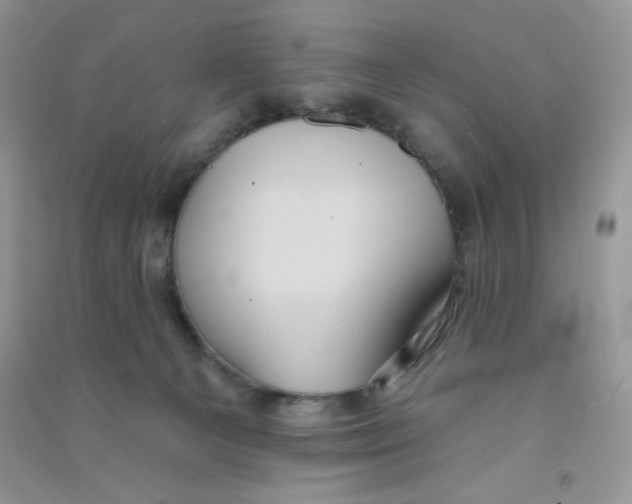 X0000090710129200708171914