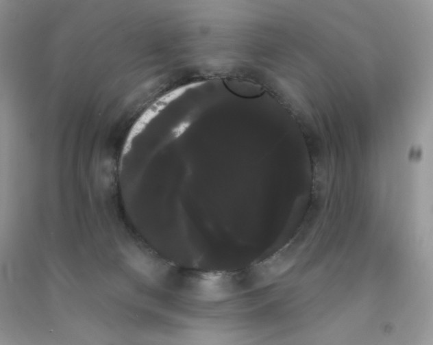 X0000090710130200708171914