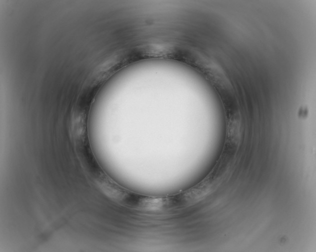 X0000090710131200708171914