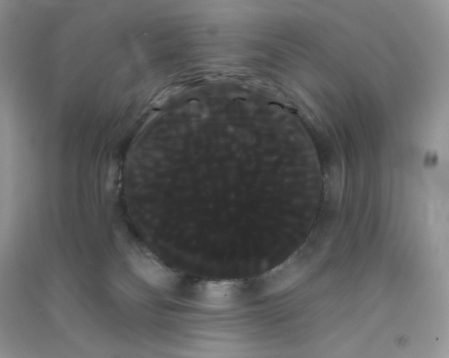 X0000090710134200708171914