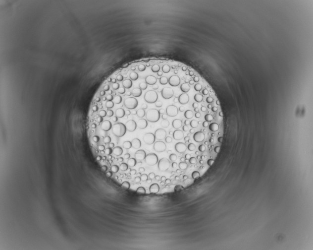 X0000090710135200708171914