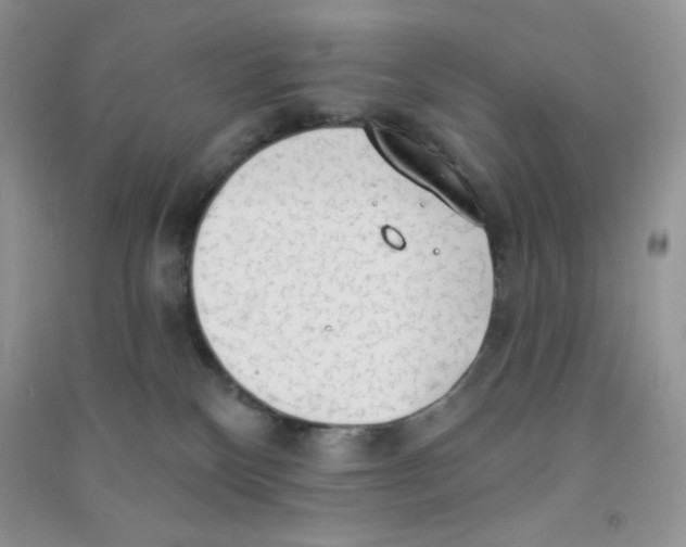 X0000090710136200708171914