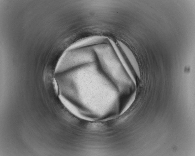 X0000090710137200708171914