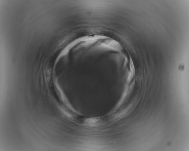 X0000090710139200708171914