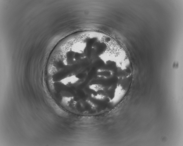 X0000090710145200708171913