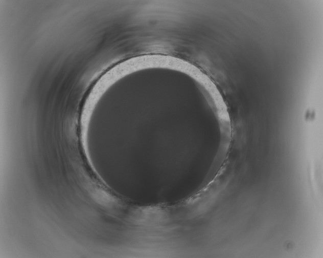 X0000090710146200708171913