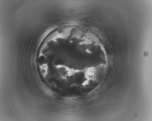 X0000090710147200708171913