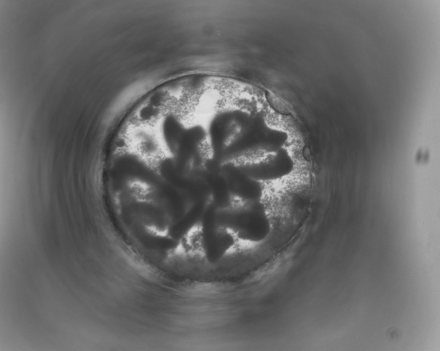 X0000090710149200708171913