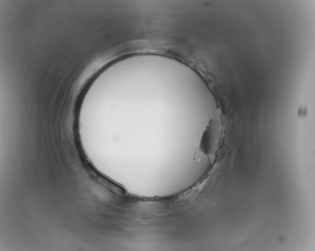 X0000090710150200708171913