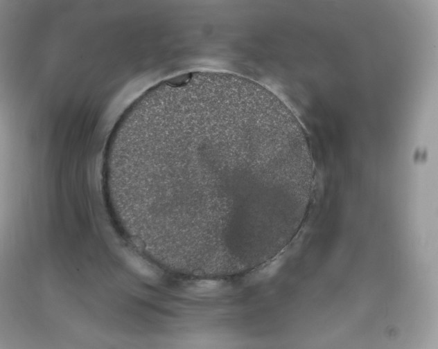 X0000090710151200708171913