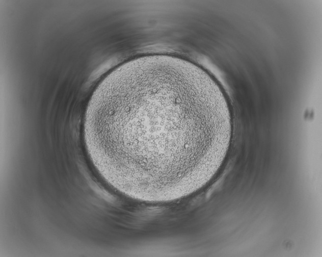 X0000090710153200708171913