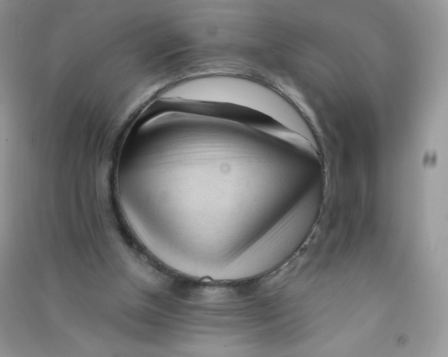 X0000090710154200708171913