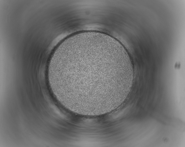 X0000090710155200708171913