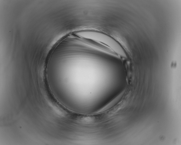 X0000090710156200708171913