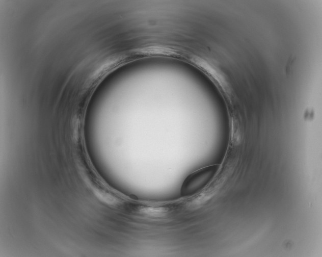 X0000090710157200708171913