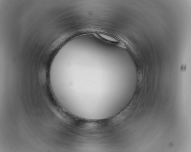 X0000090710158200708171913