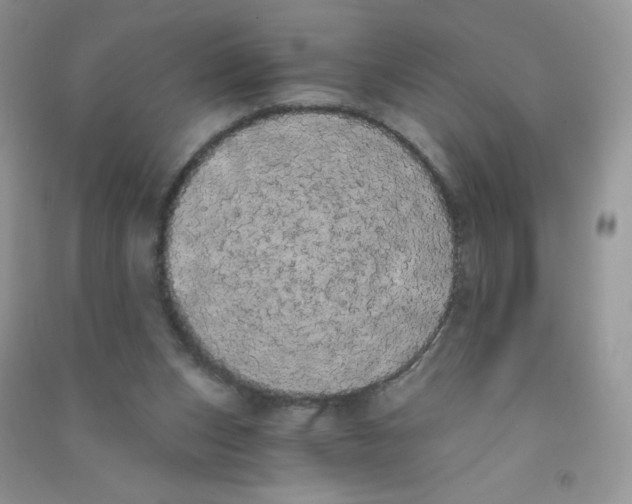 X0000090710159200708171913