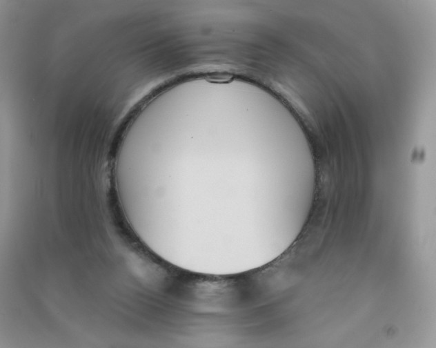 X0000090710160200708171913