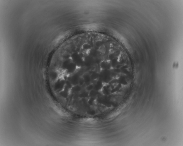 X0000090710161200708171913