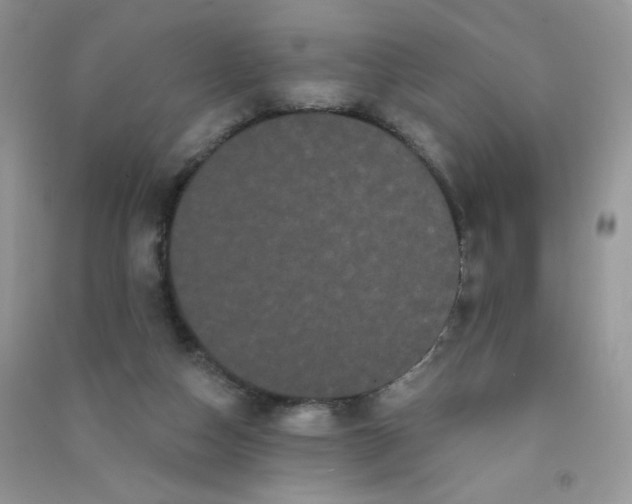 X0000090710162200708171913