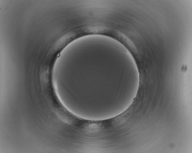 X0000090710163200708171913