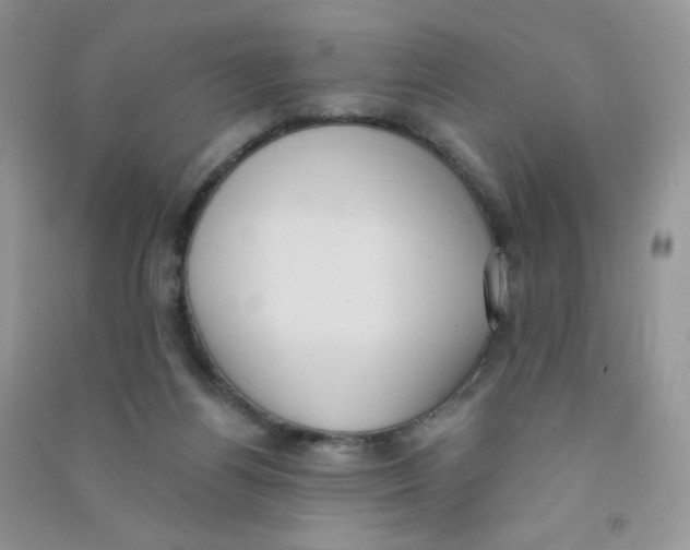 X0000090710164200708171913