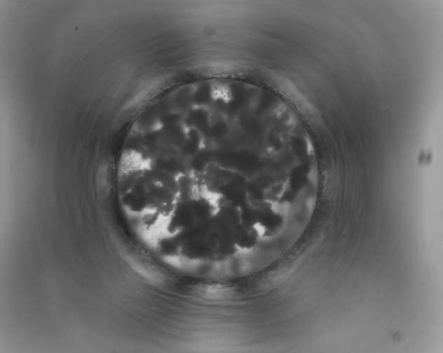 X0000090710165200708171913