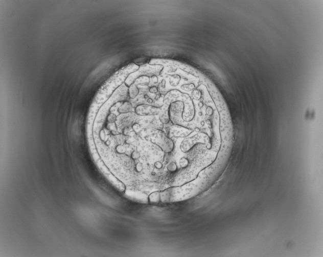 X0000090710166200708171913