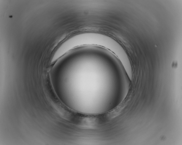 X0000090710168200708171913