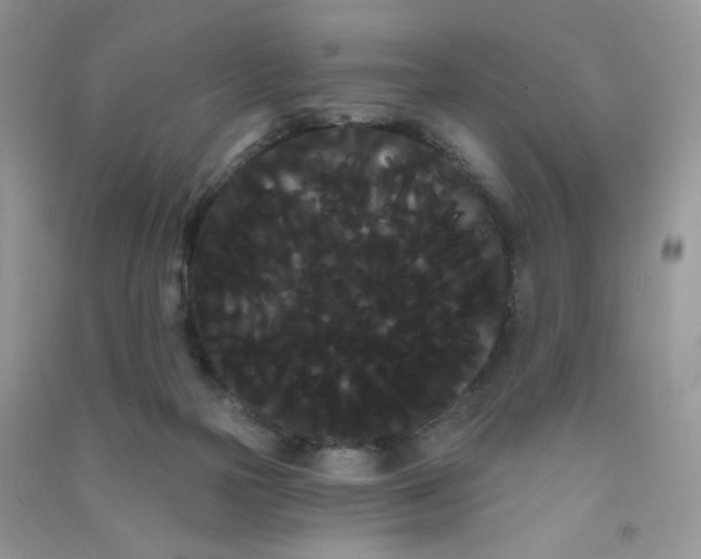 X0000090710169200708171913