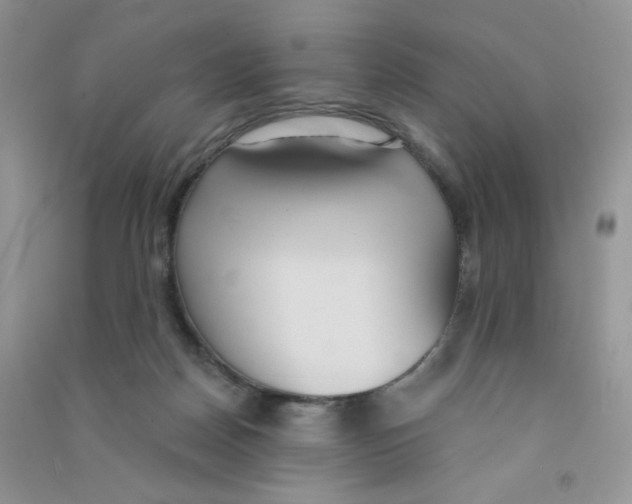 X0000090710170200708171913