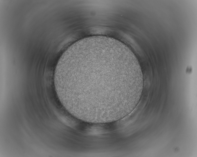 X0000090710171200708171913