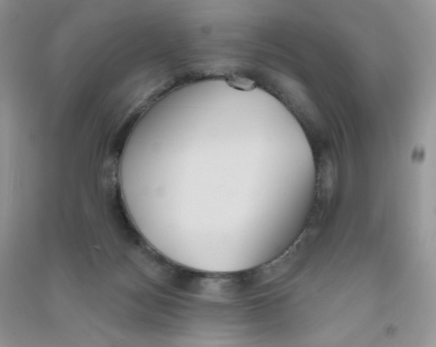 X0000090710172200708171913