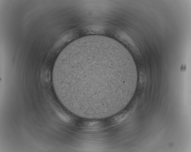 X0000090710173200708171913