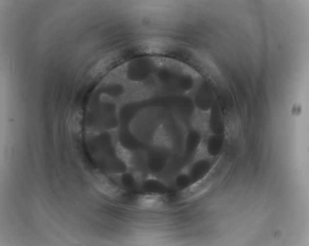 X0000090710175200708171913