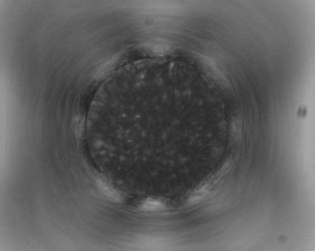 X0000090710177200708171913