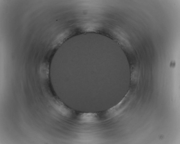 X0000090710179200708171913