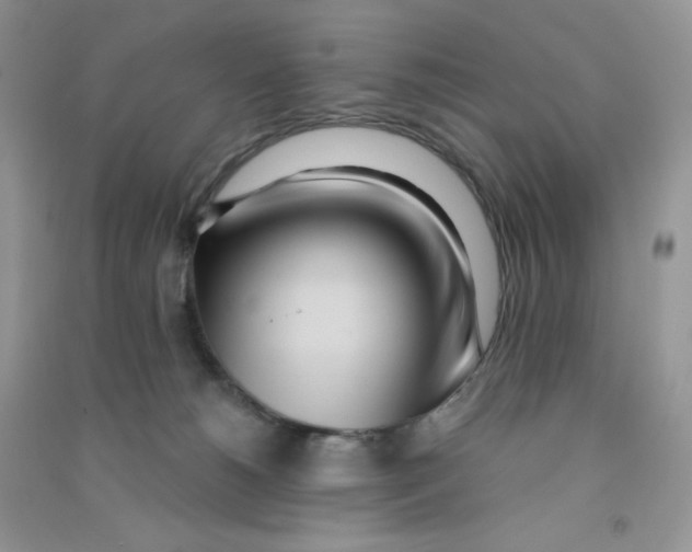 X0000090710180200708171913