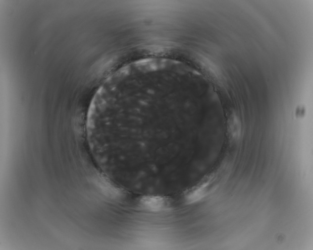 X0000090710181200708171913