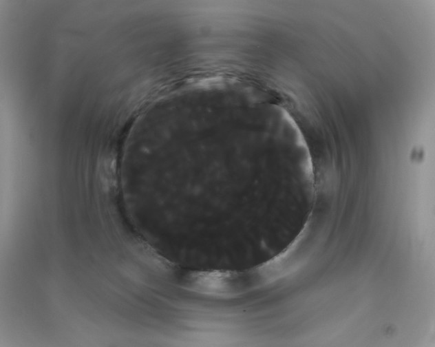 X0000090710182200708171913