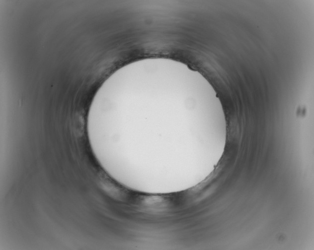 X0000090710183200708171913