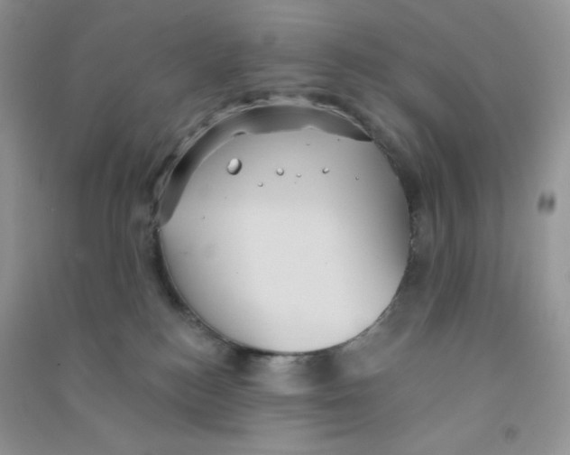 X0000090710184200708171913