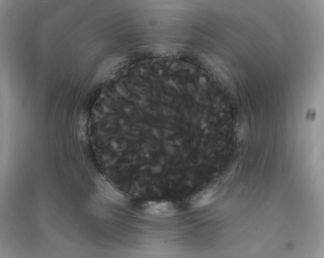 X0000090710185200708171913